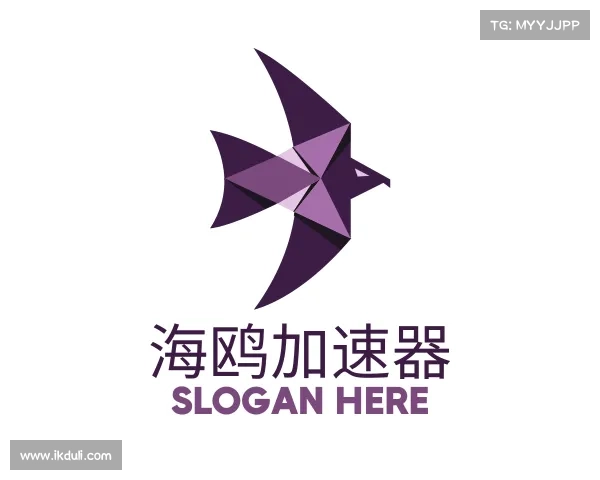 发现海鸥加速器